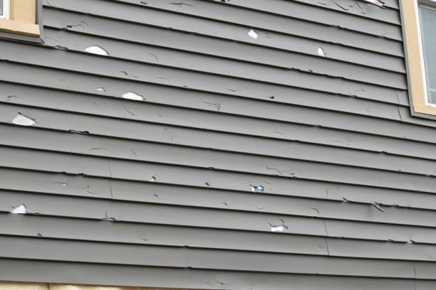 Best Insulated Siding Installation  in Cannon Af, NM