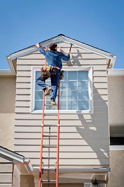 Best Stone Veneer Siding  in Cannon Af, NM